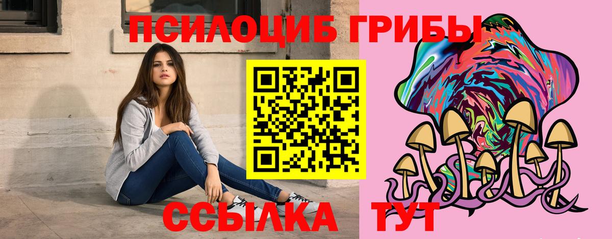 Ногинск  Галлюциногенные грибы Psilocybine cubensis  Вход с VPN 